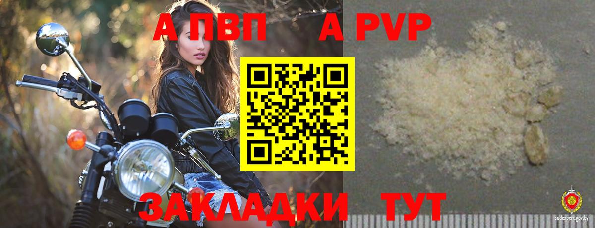 A PVP СК КРИС Боровичи