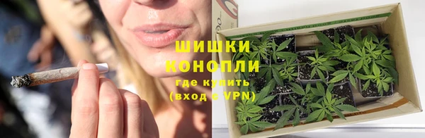 гидра Приозерск