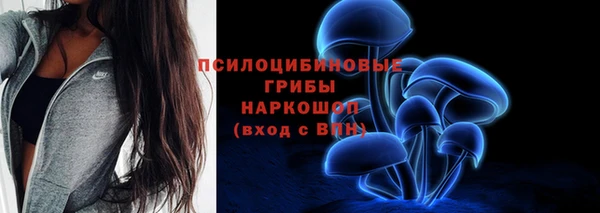 2c-b Покачи
