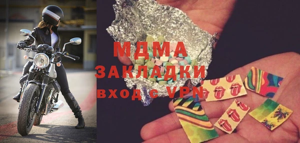 прущие грибы Гвардейск