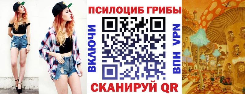 MEGA   Боровичи  Псилоцибиновые грибы мицелий 